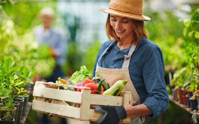 Veneto: contributi fino al 60% per investimenti dei giovani agricoltori